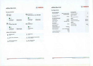 1x Herren- und 1x Damen-E-Bikes von ROSE Bike Bild 8