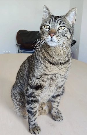 ORLANDO- menschenbezogen, ruhig, selbstständig