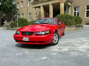 Ford Mustang Leder