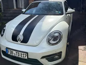 Volkswagen Beetle Bild 2