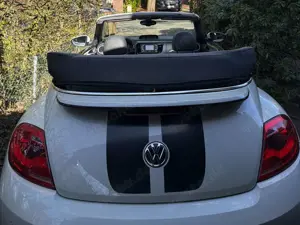 Volkswagen Beetle Bild 4
