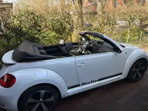 Volkswagen Beetle Bild 3