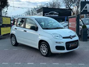 Fiat Panda Easy 1.2*Klima*AHK*Euro6*Tüv+Service NEU