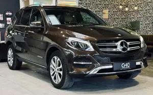 Mercedes-Benz GLE 350 d 4M AHK|ACC|KAMERA|ASSISTPLUS|NAVI|SHZ|