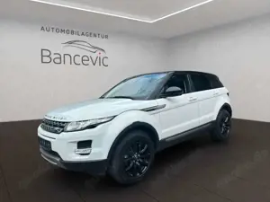 Land Rover Range Rover Evoque Pure*Technikpaket*Xenon*Leder