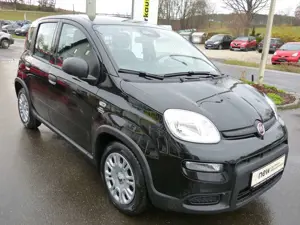 Fiat Panda Bild 4