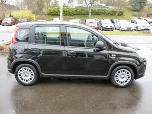Fiat Panda Bild 5
