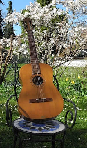 Höfner Akustik Gitarre von 1970 -  Made in Germany
