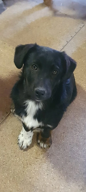 Timmy sucht seine Liebllingsmenschen