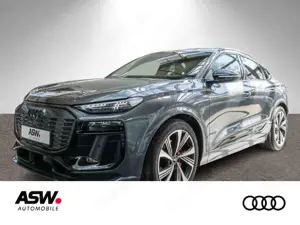 Audi Q6 e-tron performance Matrix PANO AHK