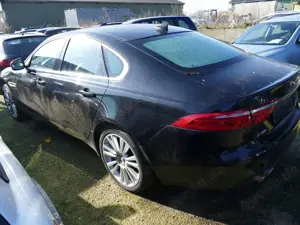 Jaguar XF Bild 4