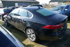 Jaguar XF Bild 5