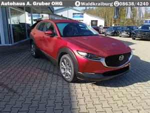 Mazda CX-30 2.5L e-SKYACTIV G Automatik Exclusive
