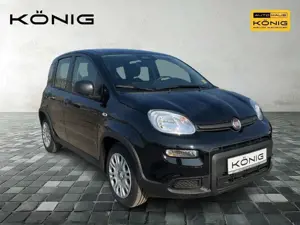 Fiat Panda MY24 1.0 Klima PDC Citypaket Bild 3