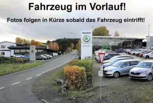 CUPRA Terramar VZ 2.0 TSI 195 kW (265 PS) 7-Gang DSG 4Drive