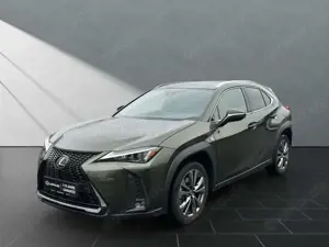 Lexus UX 250h 250h*FSPORT-D*1.HD*ALLW.REIF** 15J-GARANTIE*