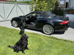 Jaguar XK XK 5.0 Cabriolet Bild 4