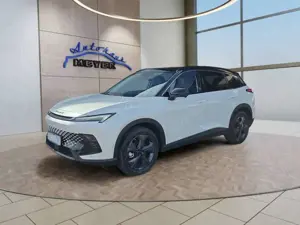 BAIC Others Baic Beijing X55 Luxury 19*Alu/Pano/Leder/el.Klapp