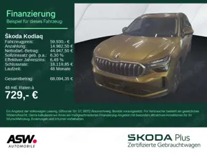 Skoda Kodiaq Selection 2.0TDI 4x4 DSG HUD PANO Stdhzg