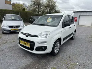Fiat Panda 1.2 Pop - SEHR GEPFLEGT
