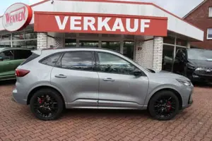 Ford Kuga ST Line X FHEV AHK-Panoramadach - Black Package