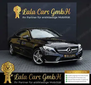 Mercedes-Benz Others 300 AMG INTERIEUR-PAKET AMG-PAKET SPURHALTE