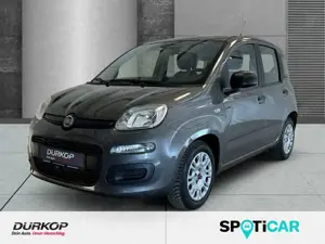 Fiat Panda 1.0 Base City Mild Hybrid