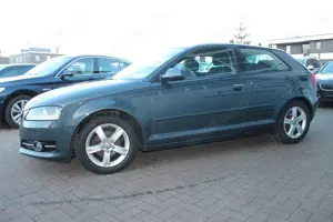 Audi A3 1.6 TDI Ambition *TÜV-NEU*