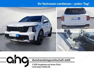 Kia Sorento 1.6 T-GDIHybridAWDPlatinum