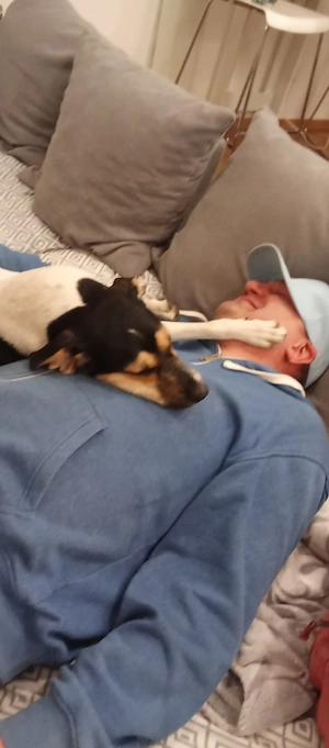 sucht Leckdate für kostenlose Unterhaltung 