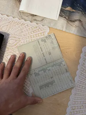 Audi A6 allroad Serienmässige Ausstattung 3-Punkt-Sicherheitsgurte