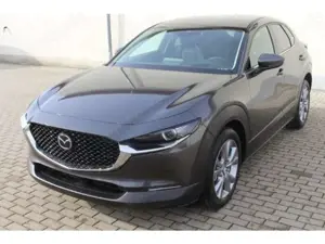 Mazda CX-30 Selection Design-Paket 122 PS Automatik AH