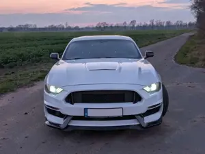 Ford Mustang 2.3L Ecoboost, US-Modell, Shelby-GT350 Optik Bild 3