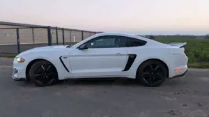 Ford Mustang 2.3L Ecoboost, US-Modell, Shelby-GT350 Optik Bild 5