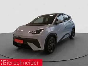 BYD Dolphin Dolphin Surf Boost PANO NAVI 360 LEDER