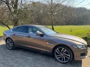Jaguar XF 30d Aut. Prestige