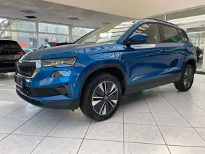 Skoda Karoq 1.5 TSI DSG Tour*Assist*Winter*Navi*AHK