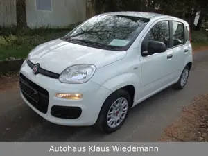 Fiat New Panda 1.2 8V EASY - 1.Hd./orig. erst 22 TKM