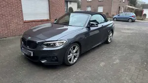 BMW 220 220d 2.0 M Sport Paket Alcantara Navi Pro SHZ