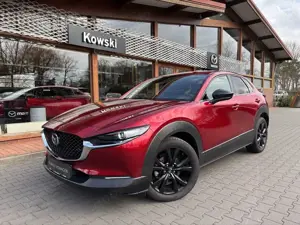 Mazda CX-30 Homura 186PS aut.*AWD*Abstandstempomat*Voll-LED*36