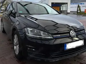 Volkswagen Golf Golf 1.6 TDI BlueMotion Technology Comfortline
