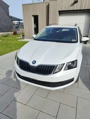 Skoda Octavia Octavia Combi 2.0 TDI 4x4 DSGAmbition