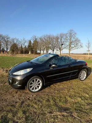 Peugeot 207 CC FAP 110 (Blue Lion) Roland Garros