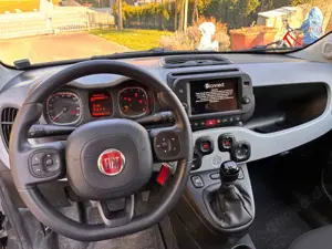 Fiat Panda 1.0 GSE Hybrid City Cross Bild 5