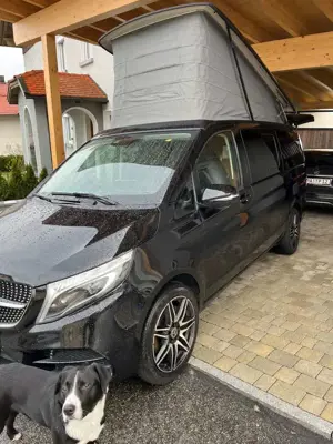 Mercedes-Benz Marco Polo Marco Polo 220 d 4MATIC (AWD) 220 d 4MATIC