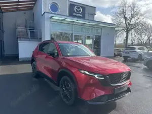 Mazda CX-5 Homura 141 PANO TLOP Metallic Bild 5