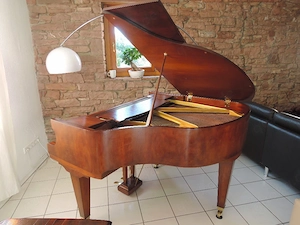 Sängerin Liedschreiberin sucht musikalische n Partner in