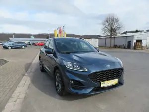 Ford Kuga ST-Line X Allrad *LED*Kamera+PDC*Navi*abn.AHK* Bild 3