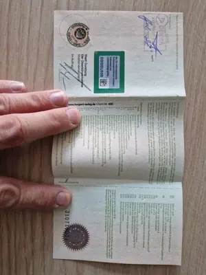 Ford Tourneo Connect 1.5 EcoBlue Start-Stop Titanium