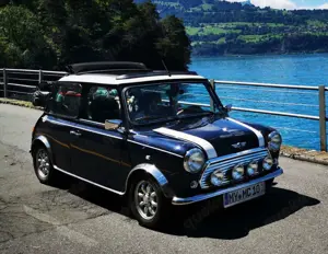 MINI Others Classic Chrom Paket